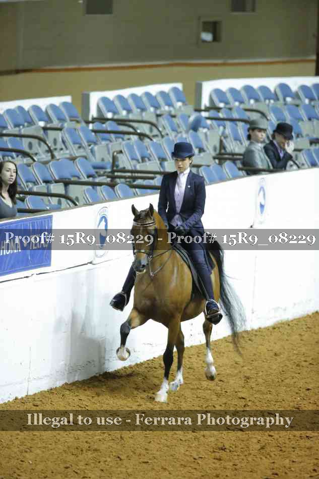 Proof 15R9_08229