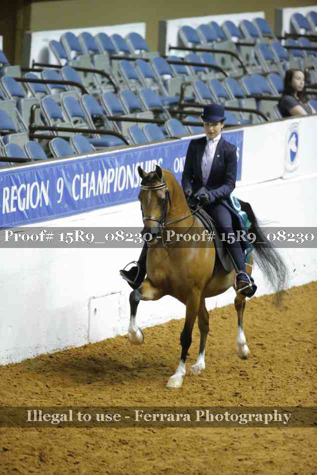 Proof 15R9_08230
