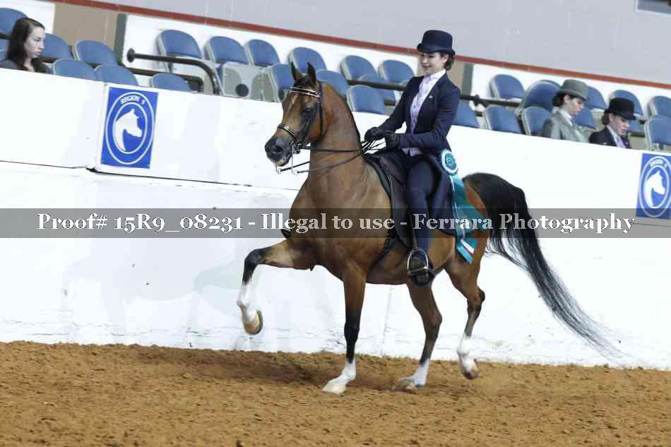 Proof 15R9_08231