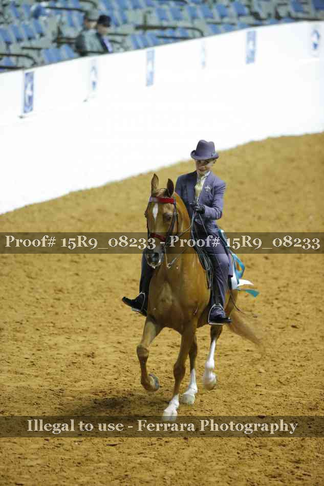 Proof 15R9_08233