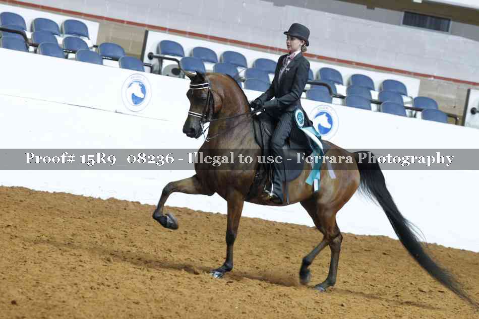 Proof 15R9_08236