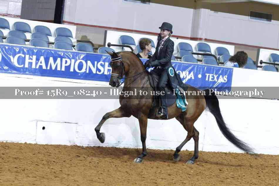 Proof 15R9_08240