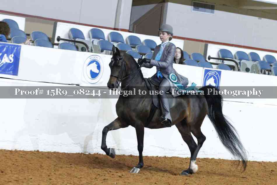Proof 15R9_08244