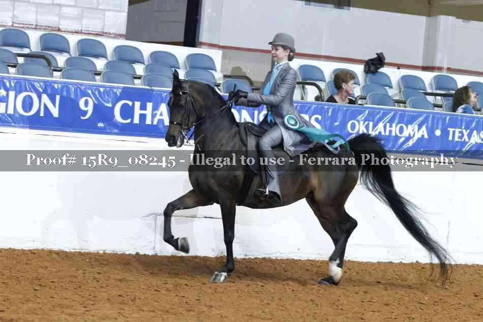 Proof 15R9_08245