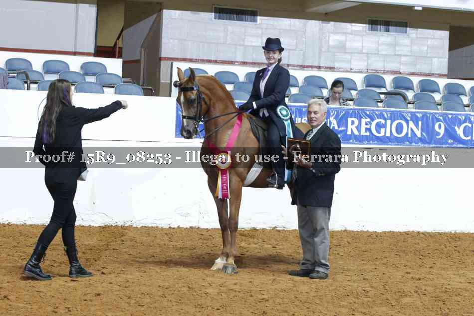 Proof 15R9_08253