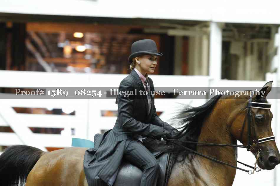 Proof 15R9_08254