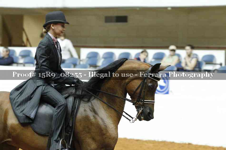Proof 15R9_08255