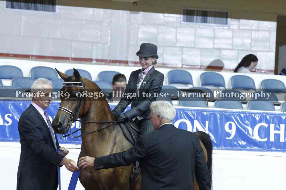 Proof 15R9_08256