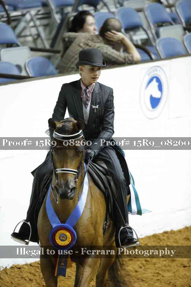 Proof 15R9_08260