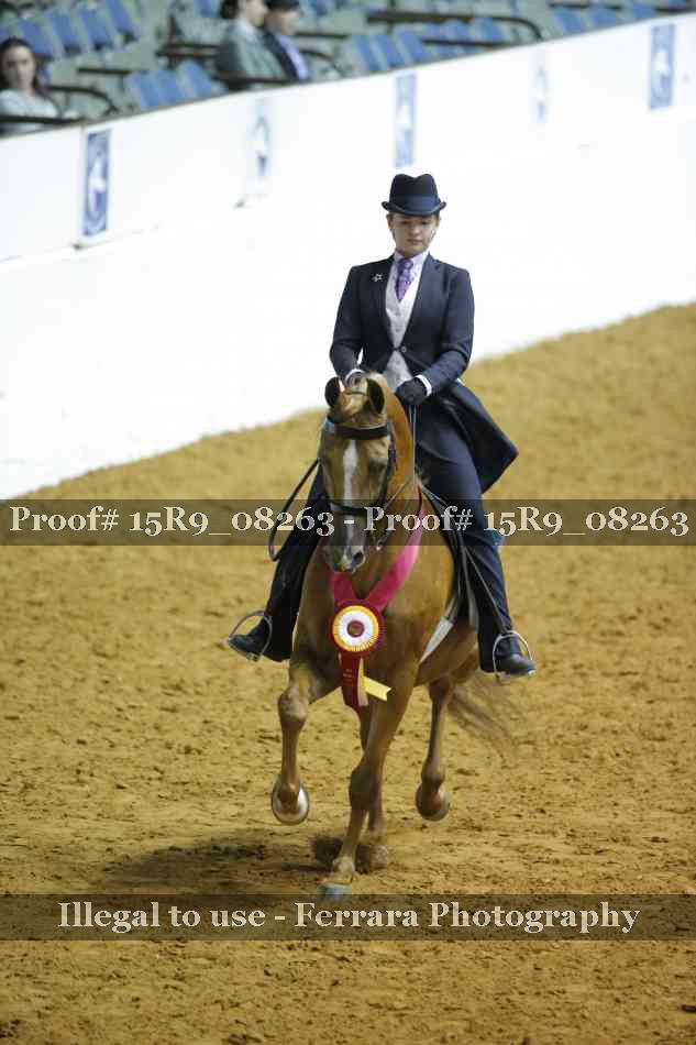 Proof 15R9_08263