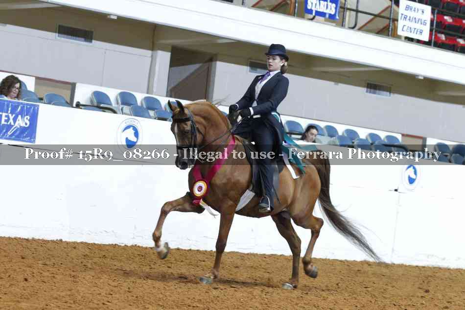 Proof 15R9_08266