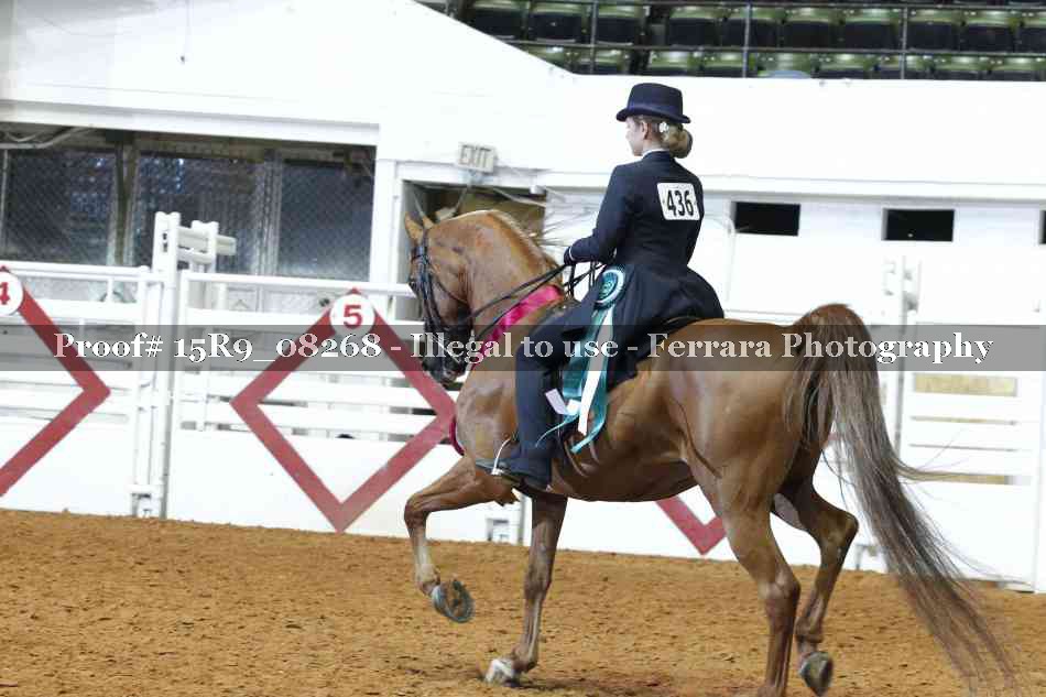 Proof 15R9_08268