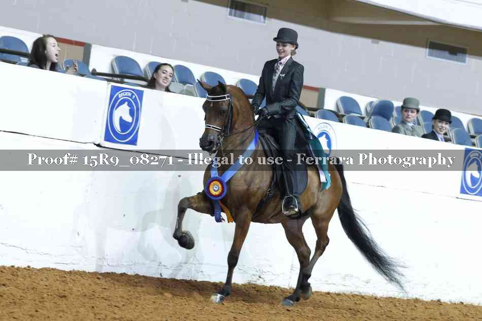 Proof 15R9_08271