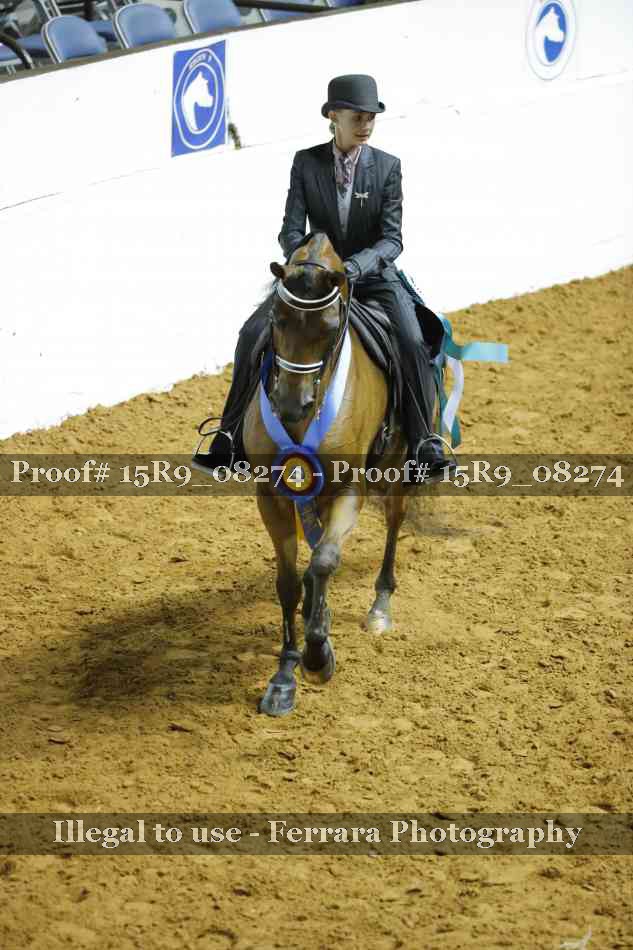Proof 15R9_08274