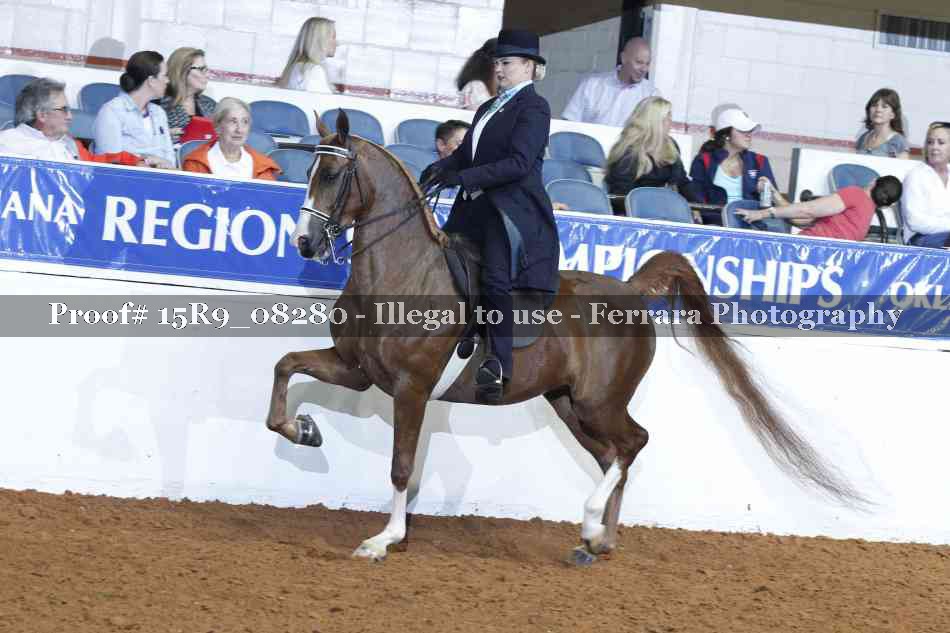 Proof 15R9_08280