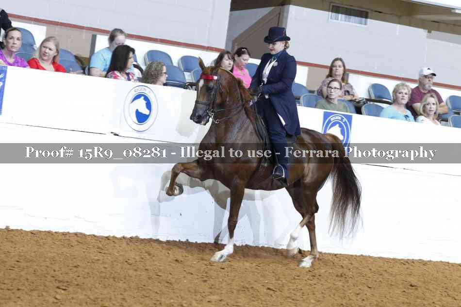 Proof 15R9_08281