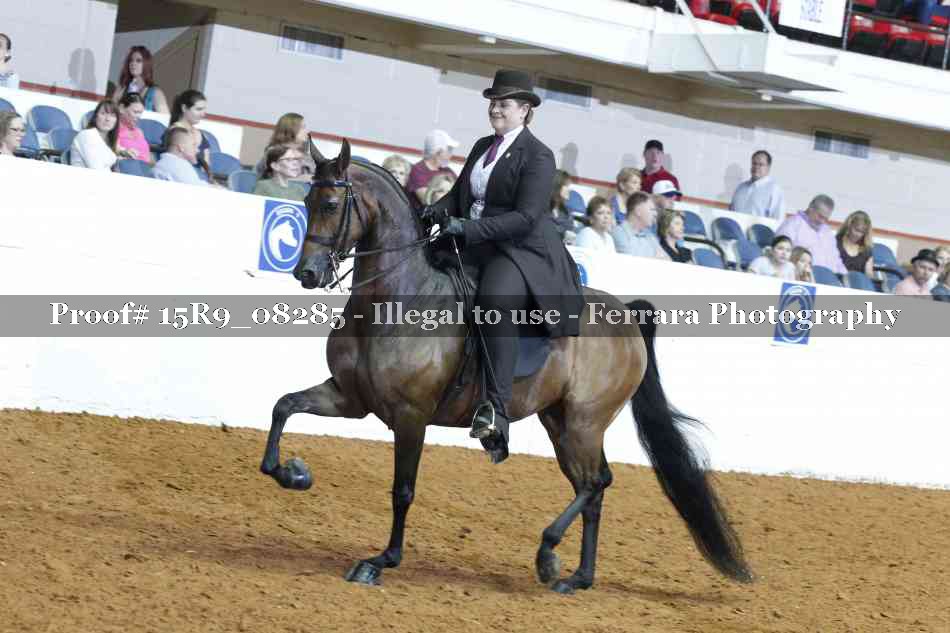 Proof 15R9_08285