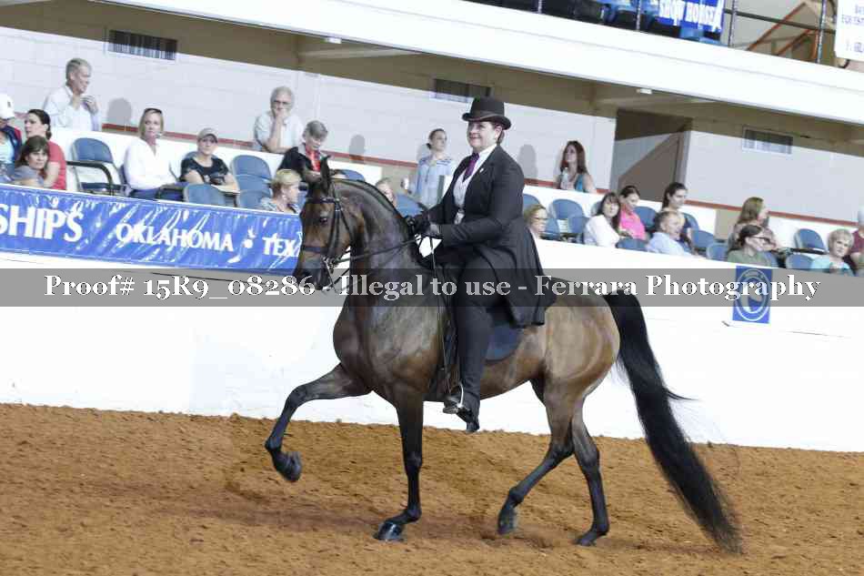 Proof 15R9_08286