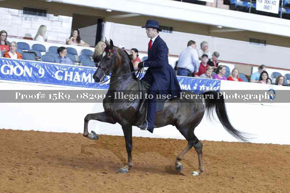 Proof 15R9_08290