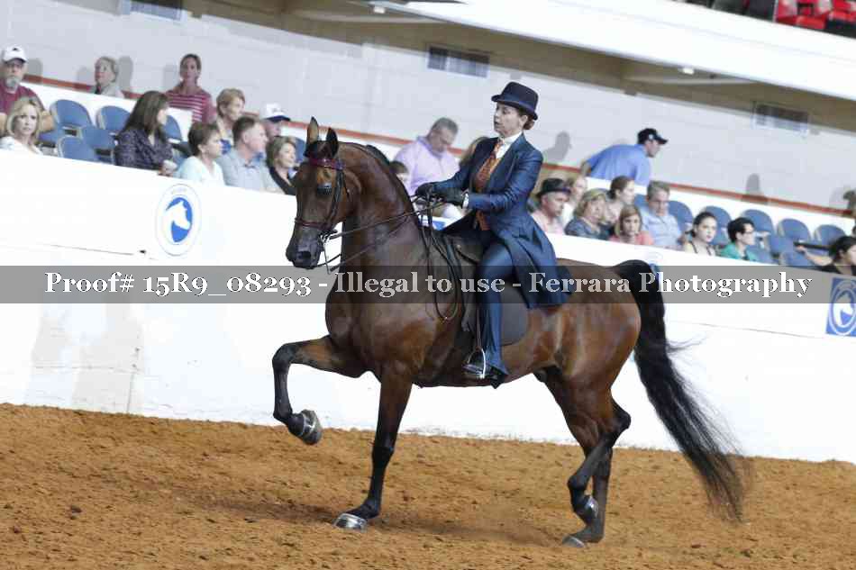 Proof 15R9_08293