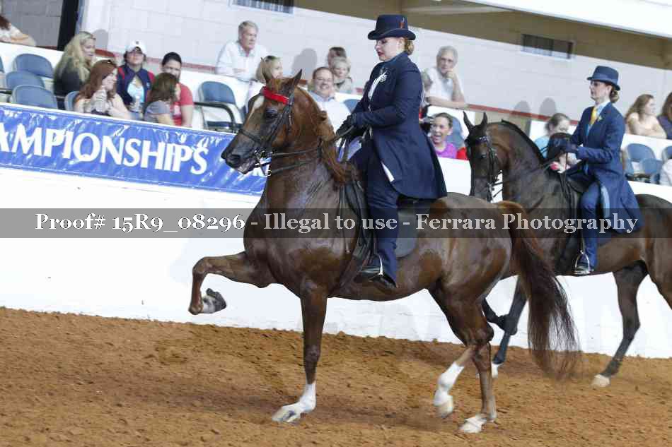 Proof 15R9_08296