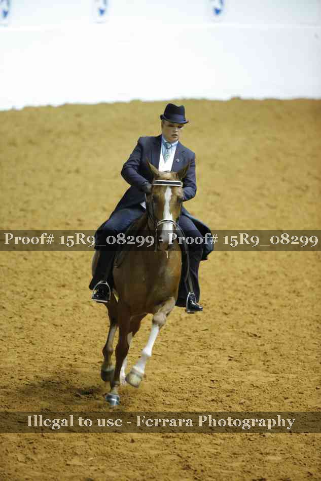 Proof 15R9_08299
