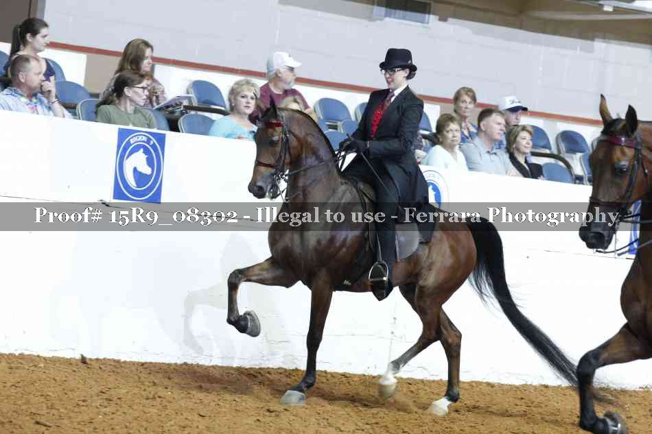 Proof 15R9_08302