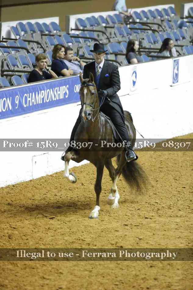 Proof 15R9_08307