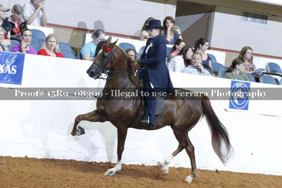 Proof 15R9_08309