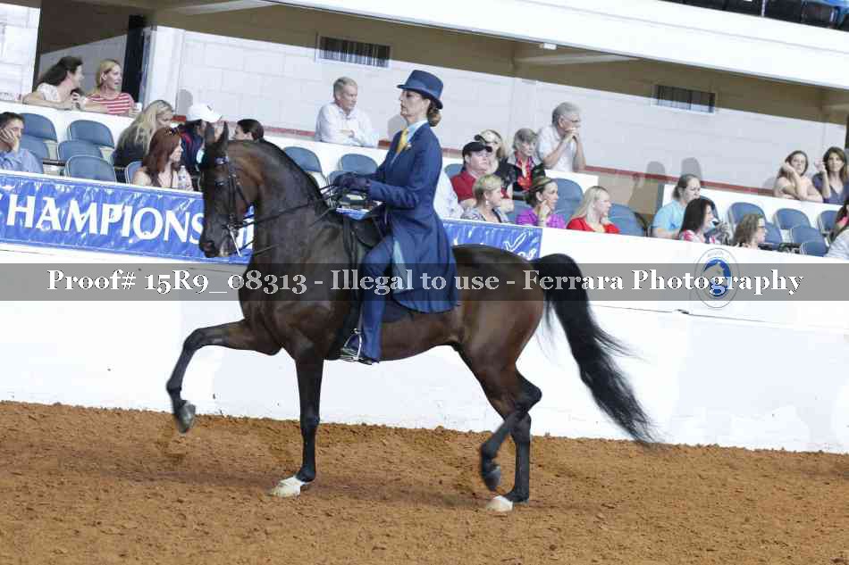 Proof 15R9_08313