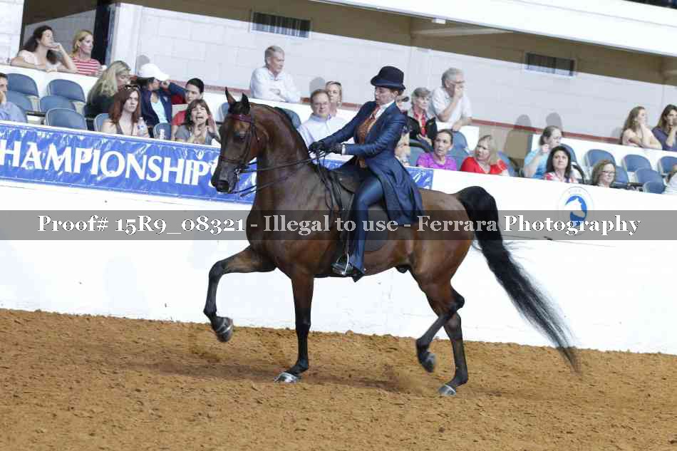 Proof 15R9_08321