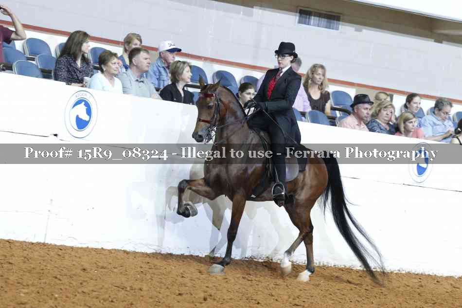 Proof 15R9_08324