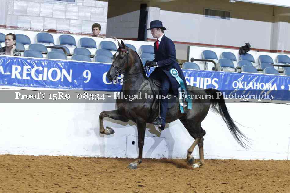 Proof 15R9_08334