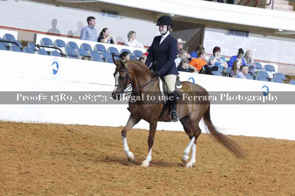 Proof 15R9_08373