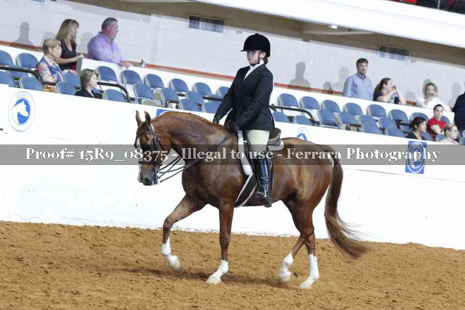 Proof 15R9_08375