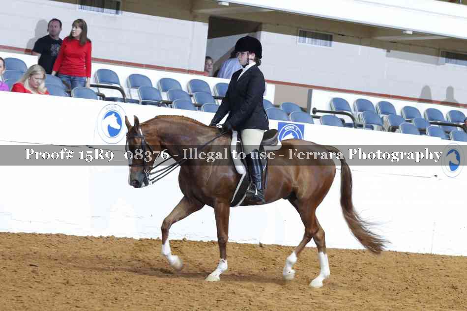 Proof 15R9_08376