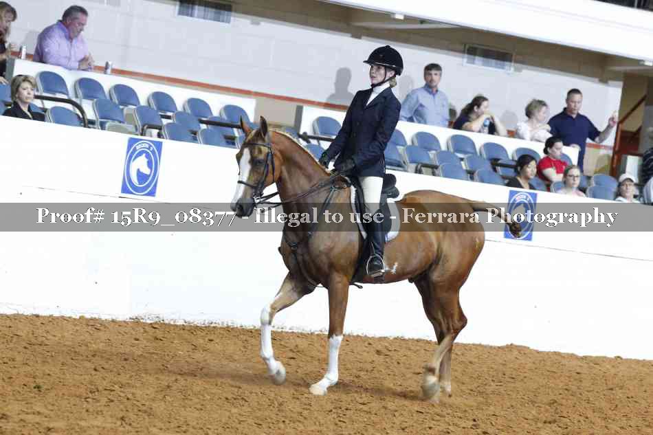 Proof 15R9_08377