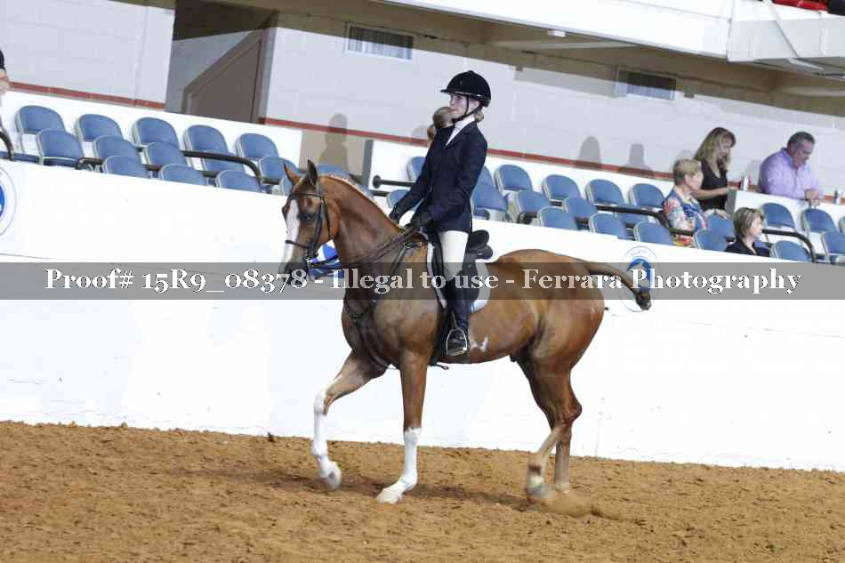 Proof 15R9_08378