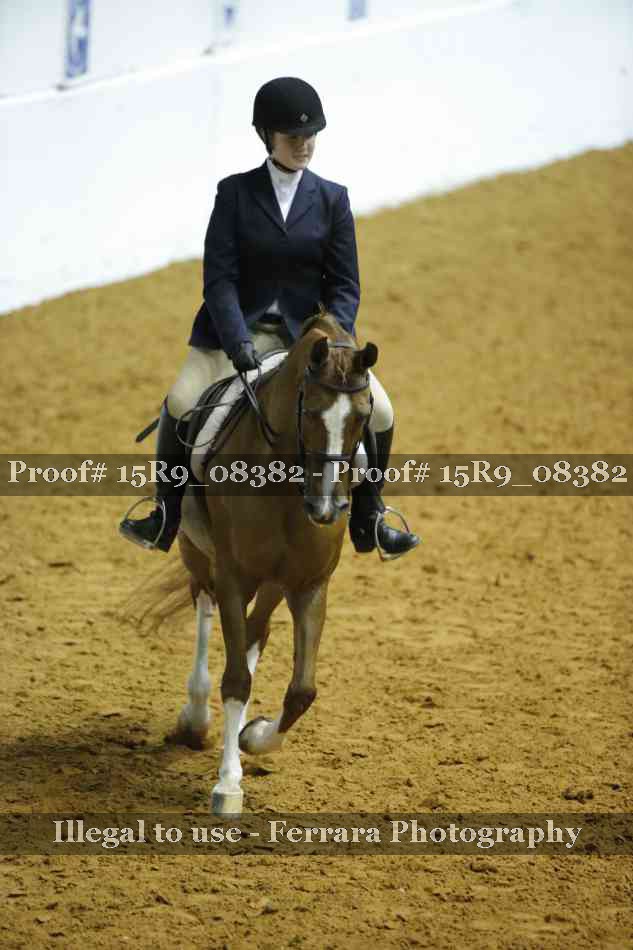 Proof 15R9_08382
