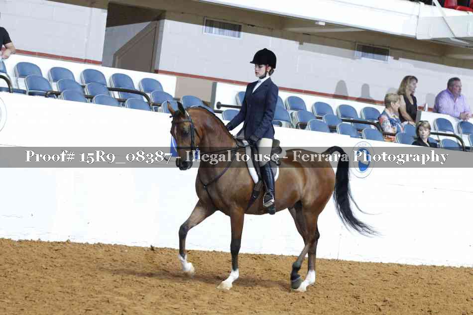 Proof 15R9_08387