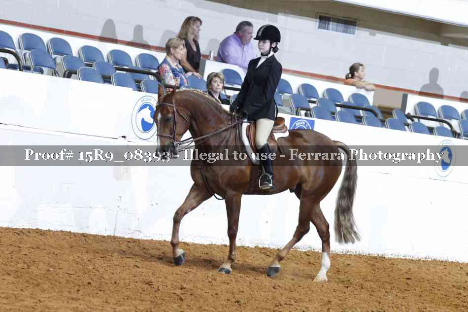 Proof 15R9_08393