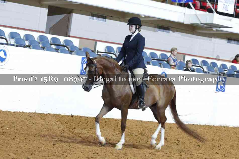 Proof 15R9_08397