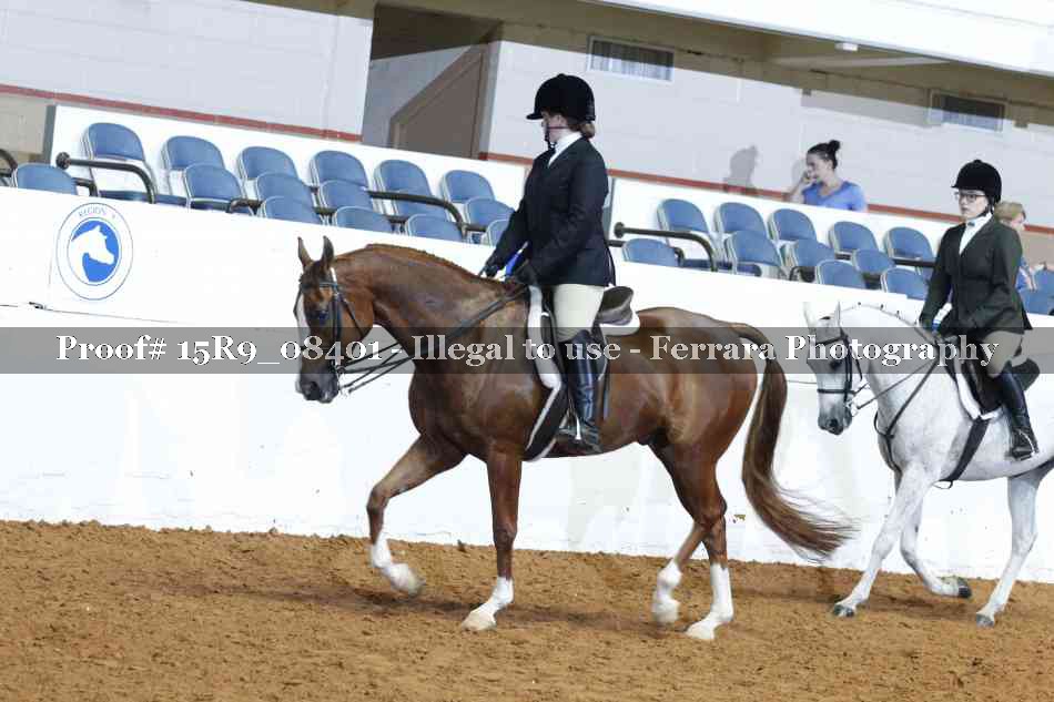 Proof 15R9_08401