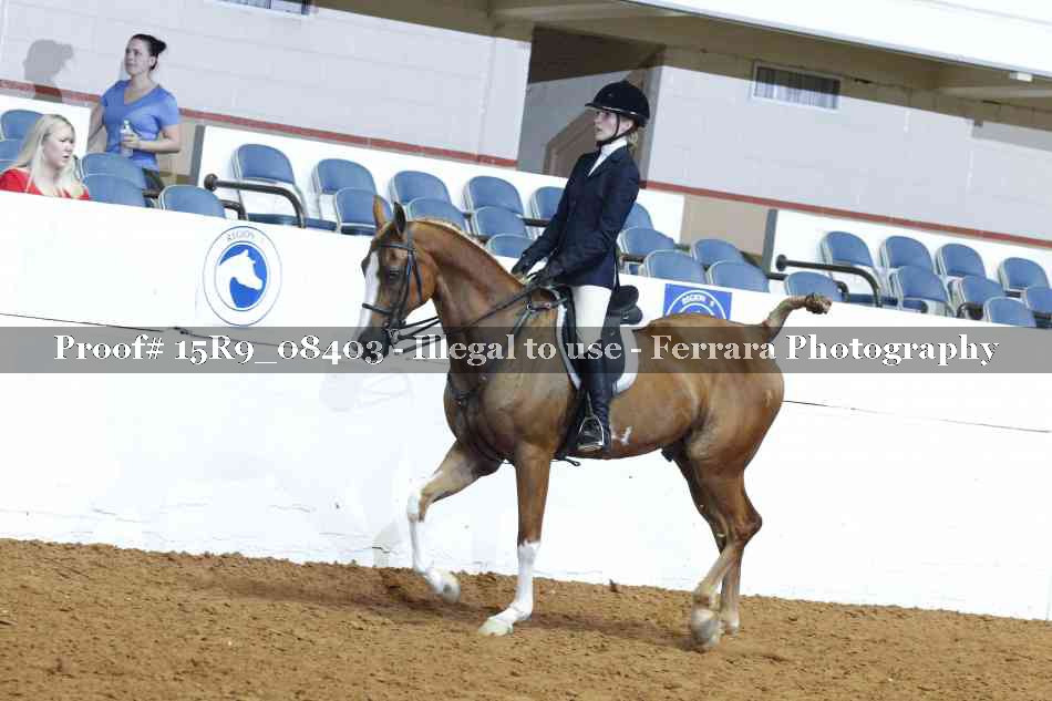 Proof 15R9_08403