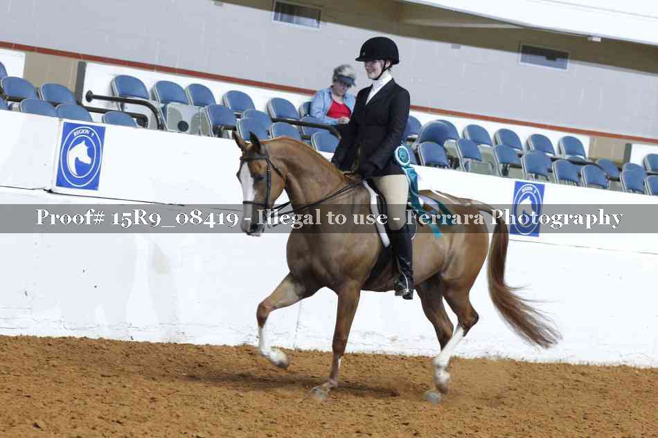 Proof 15R9_08419