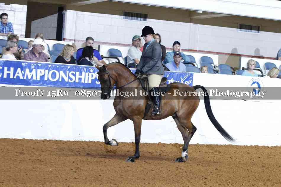Proof 15R9_08507