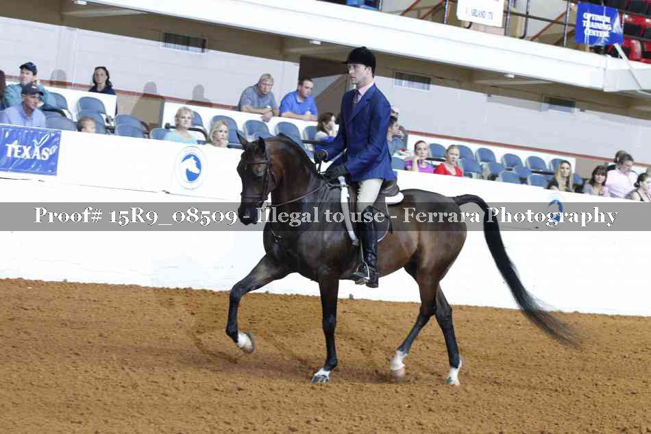Proof 15R9_08509