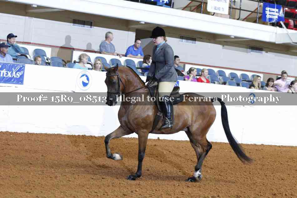 Proof 15R9_08513