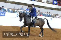 15R9_08515 proof