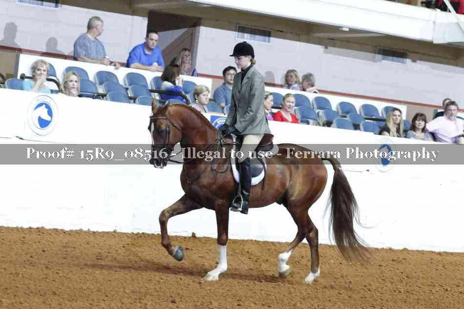 Proof 15R9_08516